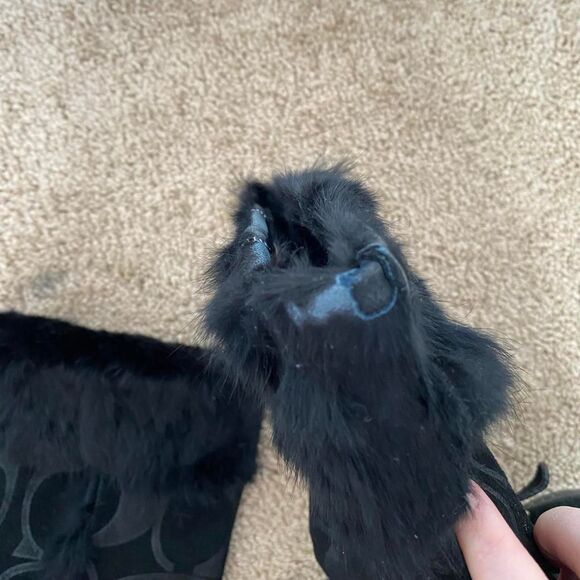 Coach Women's Black Boots - Picture 3 of 5